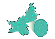 Increase profitability of territories.